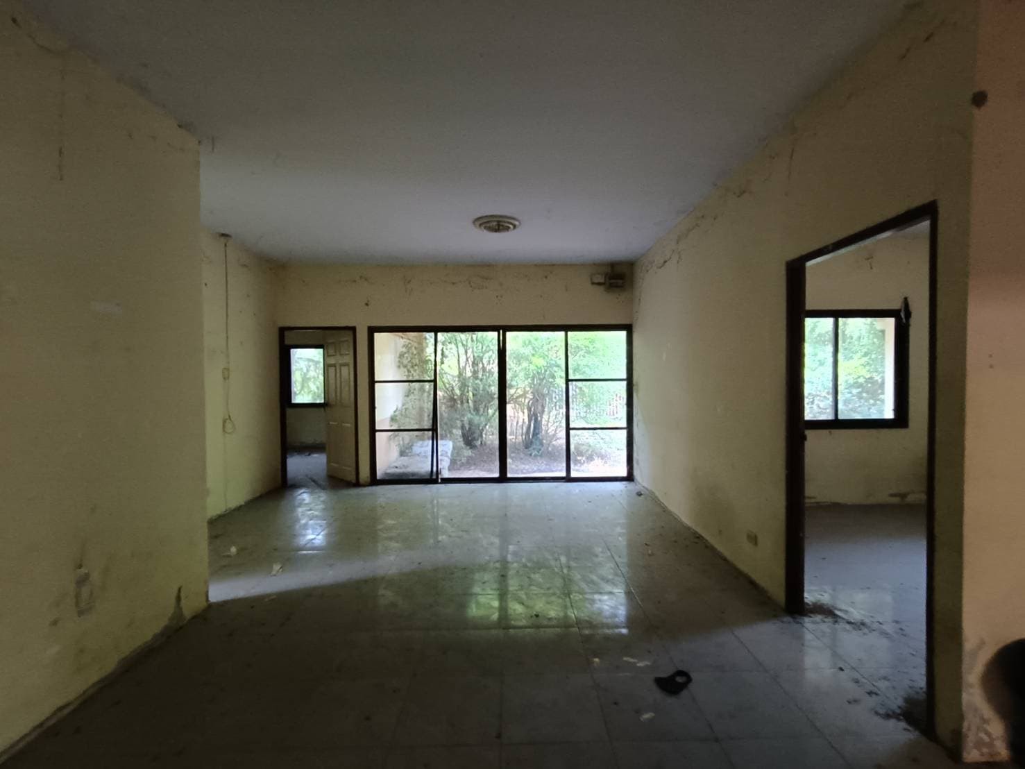 ประกาศฟรี! ซื้อ-ขาย-เช่า คอนโด บ้าน ทาวน์โฮม ที่ดิน และพื้นที่เชิงพาณิชย์ทั่วประเทศไทย ทุกทำเล ทุกงบประมาณ ไม่มีค่าใช้จ่าย ลงง่าย ขายไว เข้าถึงผู้ซื้อโดยตรง 3 256532pic2.jpg