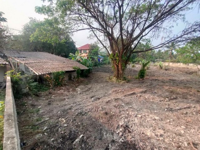 ประกาศฟรี! ซื้อ-ขาย-เช่า คอนโด บ้าน ทาวน์โฮม ที่ดิน และพื้นที่เชิงพาณิชย์ทั่วประเทศไทย ทุกทำเล ทุกงบประมาณ ไม่มีค่าใช้จ่าย ลงง่าย ขายไว เข้าถึงผู้ซื้อโดยตรง 5 256655pic4.jpg