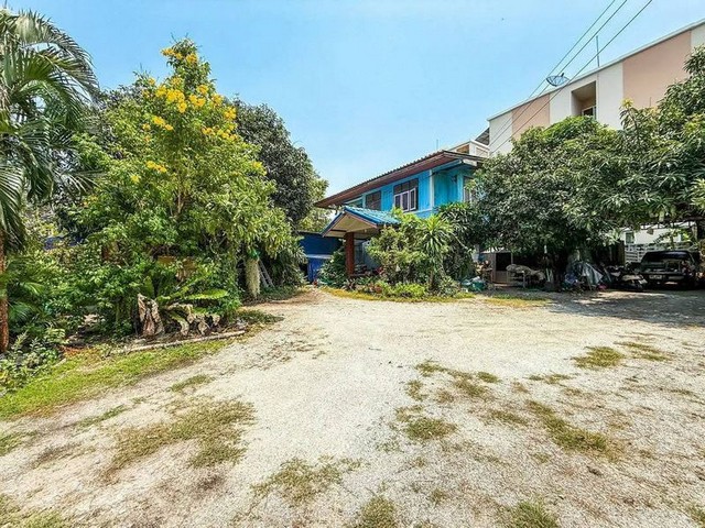 ประกาศฟรี! ซื้อ-ขาย-เช่า คอนโด บ้าน ทาวน์โฮม ที่ดิน และพื้นที่เชิงพาณิชย์ทั่วประเทศไทย ทุกทำเล ทุกงบประมาณ ไม่มีค่าใช้จ่าย ลงง่าย ขายไว เข้าถึงผู้ซื้อโดยตรง 2 316444pic1.jpg