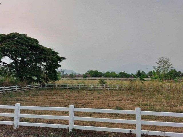 ประกาศฟรี! ซื้อ-ขาย-เช่า คอนโด บ้าน ทาวน์โฮม ที่ดิน และพื้นที่เชิงพาณิชย์ทั่วประเทศไทย ทุกทำเล ทุกงบประมาณ ไม่มีค่าใช้จ่าย ลงง่าย ขายไว เข้าถึงผู้ซื้อโดยตรง 5 256644pic4.jpg