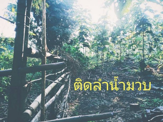 ประกาศฟรี! ซื้อ-ขาย-เช่า คอนโด บ้าน ทาวน์โฮม ที่ดิน และพื้นที่เชิงพาณิชย์ทั่วประเทศไทย ทุกทำเล ทุกงบประมาณ ไม่มีค่าใช้จ่าย ลงง่าย ขายไว เข้าถึงผู้ซื้อโดยตรง 2 7375pic1.jpg