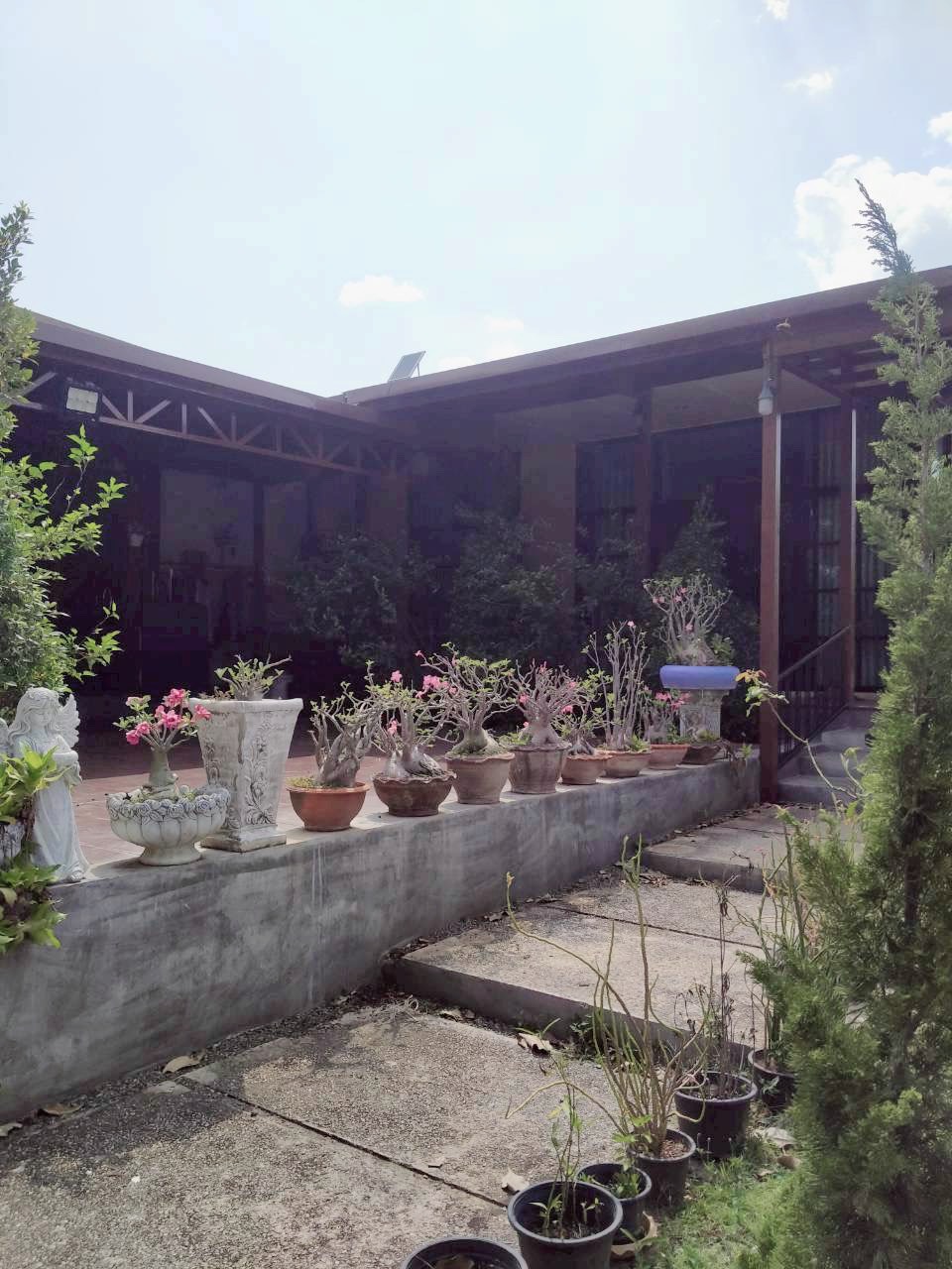 ประกาศฟรี! ซื้อ-ขาย-เช่า คอนโด บ้าน ทาวน์โฮม ที่ดิน และพื้นที่เชิงพาณิชย์ทั่วประเทศไทย ทุกทำเล ทุกงบประมาณ ไม่มีค่าใช้จ่าย ลงง่าย ขายไว เข้าถึงผู้ซื้อโดยตรง 4 517250pic3.jpg