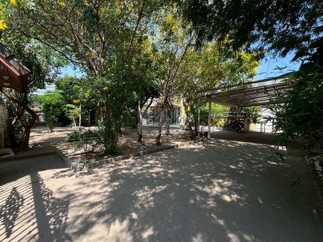 ประกาศฟรี! ซื้อ-ขาย-เช่า คอนโด บ้าน ทาวน์โฮม ที่ดิน และพื้นที่เชิงพาณิชย์ทั่วประเทศไทย ทุกทำเล ทุกงบประมาณ ไม่มีค่าใช้จ่าย ลงง่าย ขายไว เข้าถึงผู้ซื้อโดยตรง 4 517217pic3.jpg