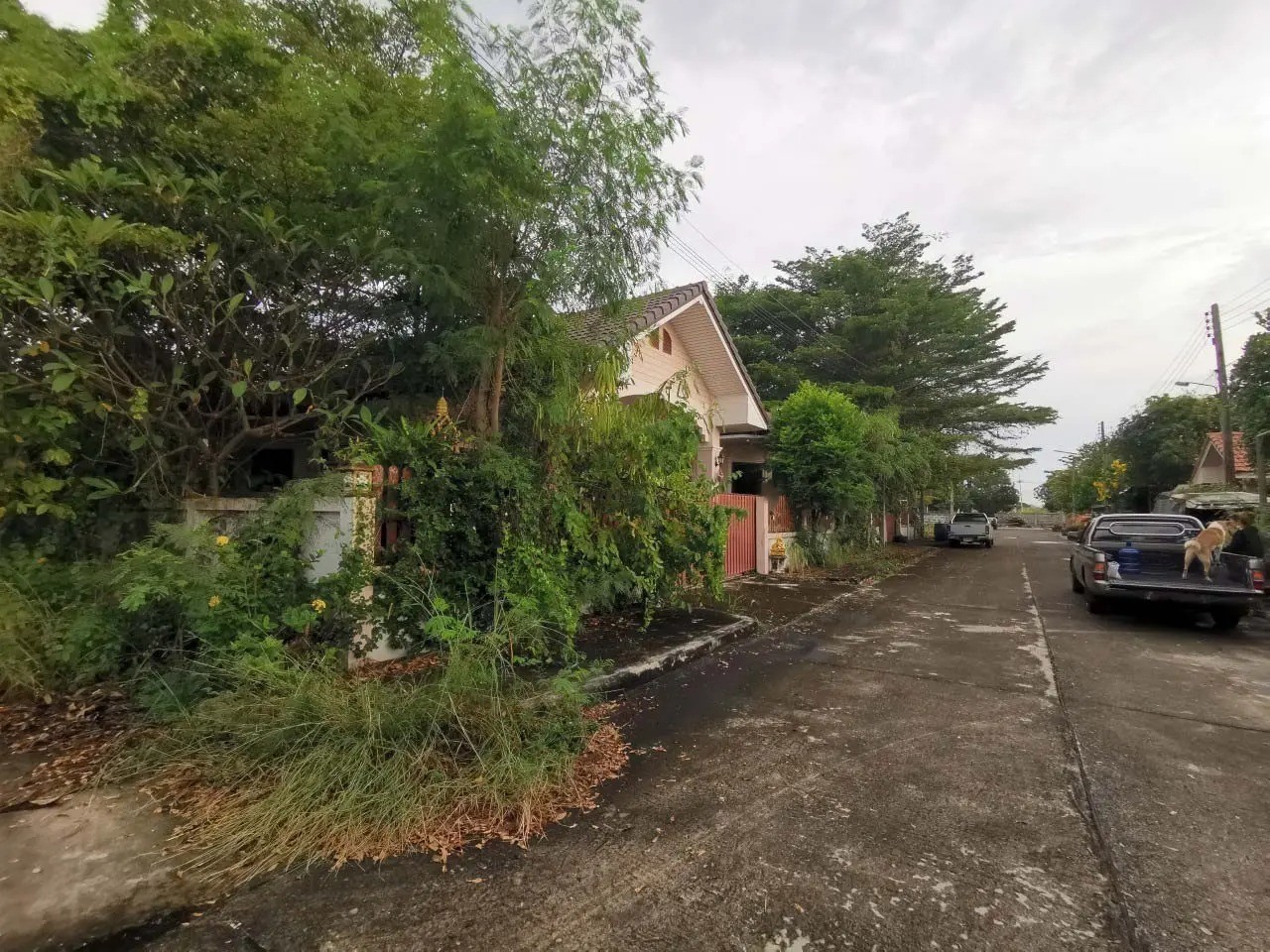 ประกาศฟรี! ซื้อ-ขาย-เช่า คอนโด บ้าน ทาวน์โฮม ที่ดิน และพื้นที่เชิงพาณิชย์ทั่วประเทศไทย ทุกทำเล ทุกงบประมาณ ไม่มีค่าใช้จ่าย ลงง่าย ขายไว เข้าถึงผู้ซื้อโดยตรง 3 256601pic2.jpg