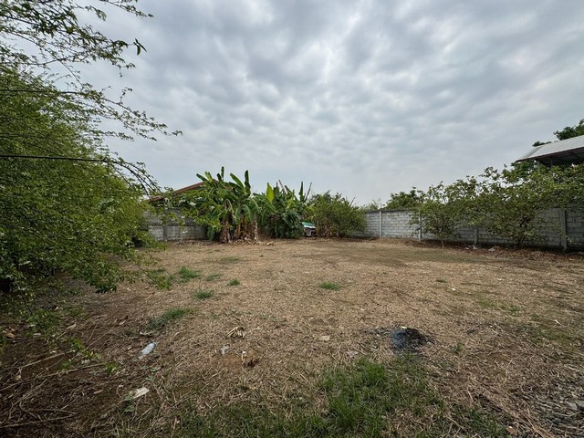 ประกาศฟรี! ซื้อ-ขาย-เช่า คอนโด บ้าน ทาวน์โฮม ที่ดิน และพื้นที่เชิงพาณิชย์ทั่วประเทศไทย ทุกทำเล ทุกงบประมาณ ไม่มีค่าใช้จ่าย ลงง่าย ขายไว เข้าถึงผู้ซื้อโดยตรง 4 256693pic3.jpg