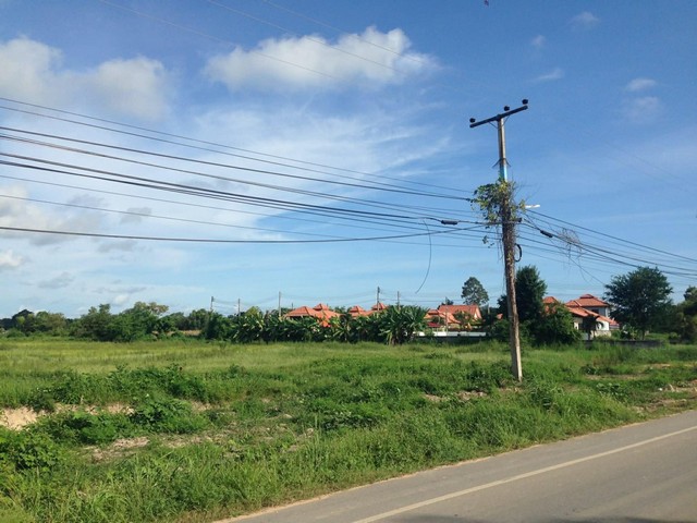 ประกาศฟรี! ซื้อ-ขาย-เช่า คอนโด บ้าน ทาวน์โฮม ที่ดิน และพื้นที่เชิงพาณิชย์ทั่วประเทศไทย ทุกทำเล ทุกงบประมาณ ไม่มีค่าใช้จ่าย ลงง่าย ขายไว เข้าถึงผู้ซื้อโดยตรง 4 316738pic3.jpg