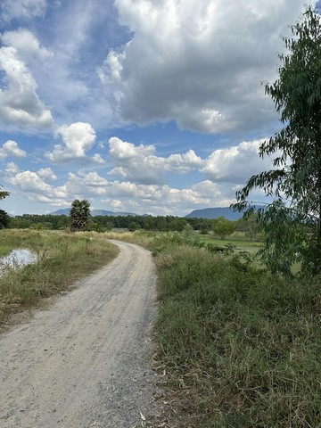 ประกาศฟรี! ซื้อ-ขาย-เช่า คอนโด บ้าน ทาวน์โฮม ที่ดิน และพื้นที่เชิงพาณิชย์ทั่วประเทศไทย ทุกทำเล ทุกงบประมาณ ไม่มีค่าใช้จ่าย ลงง่าย ขายไว เข้าถึงผู้ซื้อโดยตรง 5 316738pic4.jpg