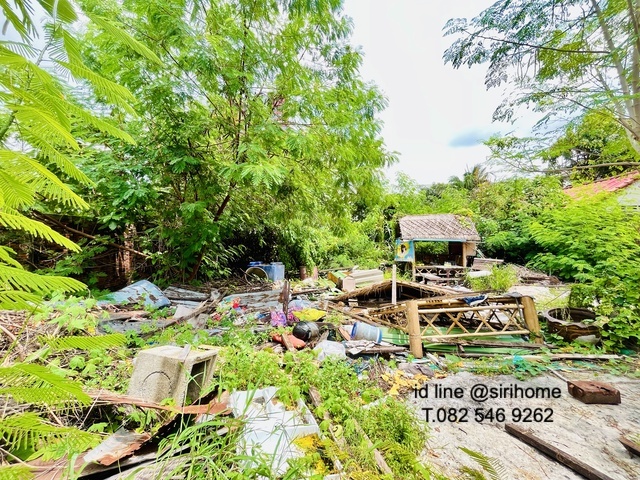 ประกาศฟรี! ซื้อ-ขาย-เช่า คอนโด บ้าน ทาวน์โฮม ที่ดิน และพื้นที่เชิงพาณิชย์ทั่วประเทศไทย ทุกทำเล ทุกงบประมาณ ไม่มีค่าใช้จ่าย ลงง่าย ขายไว เข้าถึงผู้ซื้อโดยตรง 3 517347pic2.jpg