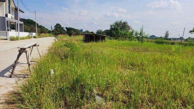 ประกาศฟรี! ซื้อ-ขาย-เช่า คอนโด บ้าน ทาวน์โฮม ที่ดิน และพื้นที่เชิงพาณิชย์ทั่วประเทศไทย ทุกทำเล ทุกงบประมาณ ไม่มีค่าใช้จ่าย ลงง่าย ขายไว เข้าถึงผู้ซื้อโดยตรง 3 256752pic2.jpg