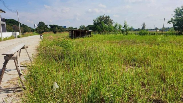 ประกาศฟรี! ซื้อ-ขาย-เช่า คอนโด บ้าน ทาวน์โฮม ที่ดิน และพื้นที่เชิงพาณิชย์ทั่วประเทศไทย ทุกทำเล ทุกงบประมาณ ไม่มีค่าใช้จ่าย ลงง่าย ขายไว เข้าถึงผู้ซื้อโดยตรง 4 256752pic3.jpg