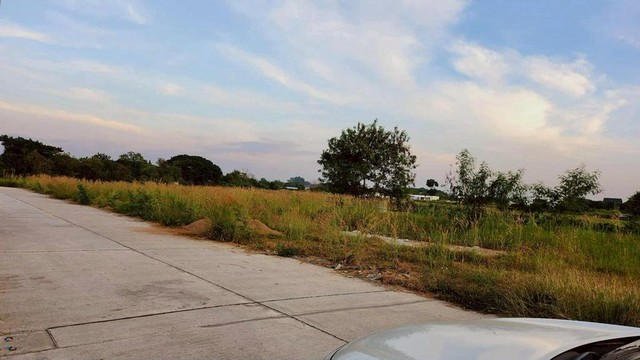 ประกาศฟรี! ซื้อ-ขาย-เช่า คอนโด บ้าน ทาวน์โฮม ที่ดิน และพื้นที่เชิงพาณิชย์ทั่วประเทศไทย ทุกทำเล ทุกงบประมาณ ไม่มีค่าใช้จ่าย ลงง่าย ขายไว เข้าถึงผู้ซื้อโดยตรง 5 256752pic4.jpg