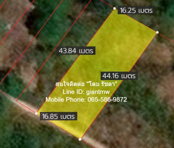 ประกาศฟรี! ซื้อ-ขาย-เช่า คอนโด บ้าน ทาวน์โฮม ที่ดิน และพื้นที่เชิงพาณิชย์ทั่วประเทศไทย ทุกทำเล ทุกงบประมาณ ไม่มีค่าใช้จ่าย ลงง่าย ขายไว เข้าถึงผู้ซื้อโดยตรง 2 16318pic1.jpg