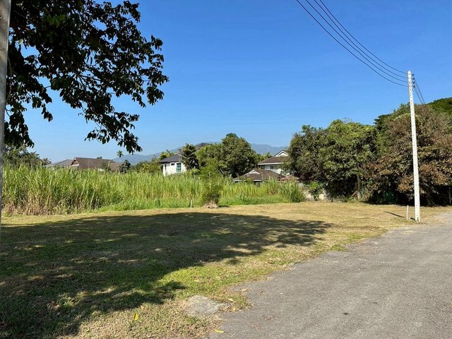 ประกาศฟรี! ซื้อ-ขาย-เช่า คอนโด บ้าน ทาวน์โฮม ที่ดิน และพื้นที่เชิงพาณิชย์ทั่วประเทศไทย ทุกทำเล ทุกงบประมาณ ไม่มีค่าใช้จ่าย ลงง่าย ขายไว เข้าถึงผู้ซื้อโดยตรง 5 256759pic4.jpg