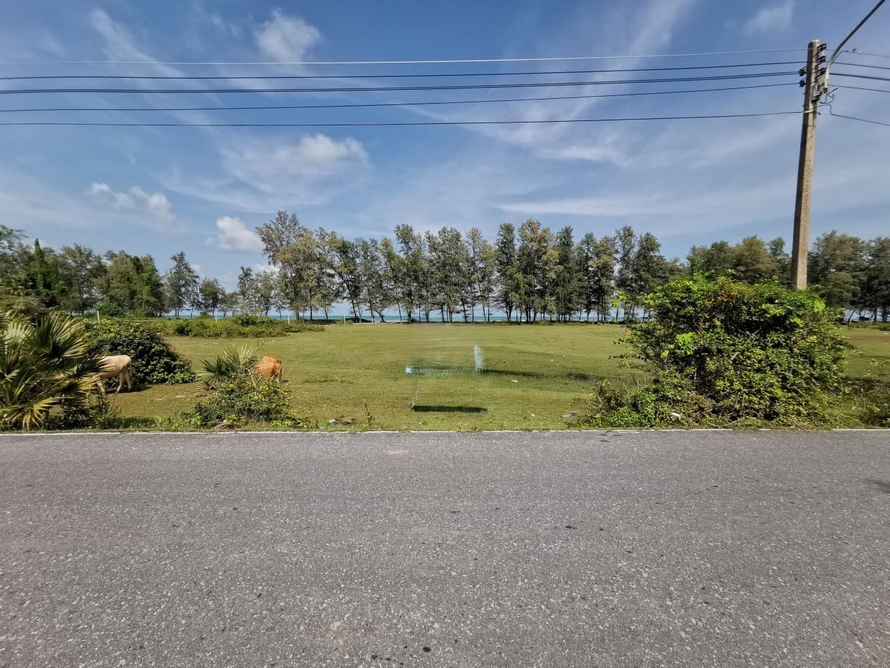 ประกาศฟรี! ซื้อ-ขาย-เช่า คอนโด บ้าน ทาวน์โฮม ที่ดิน และพื้นที่เชิงพาณิชย์ทั่วประเทศไทย ทุกทำเล ทุกงบประมาณ ไม่มีค่าใช้จ่าย ลงง่าย ขายไว เข้าถึงผู้ซื้อโดยตรง 2 256707pic1.jpg