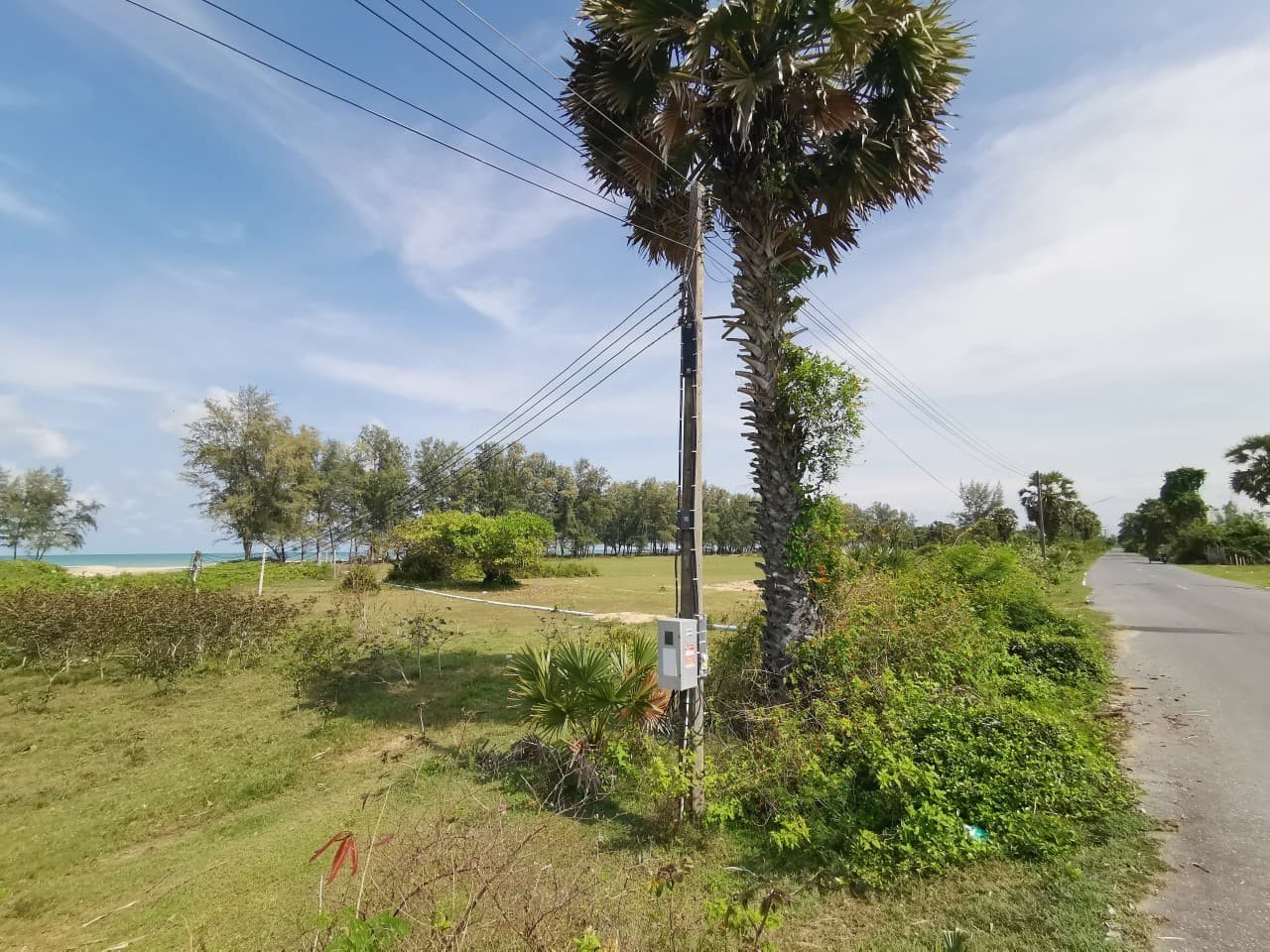 ประกาศฟรี! ซื้อ-ขาย-เช่า คอนโด บ้าน ทาวน์โฮม ที่ดิน และพื้นที่เชิงพาณิชย์ทั่วประเทศไทย ทุกทำเล ทุกงบประมาณ ไม่มีค่าใช้จ่าย ลงง่าย ขายไว เข้าถึงผู้ซื้อโดยตรง 3 256707pic2.jpg