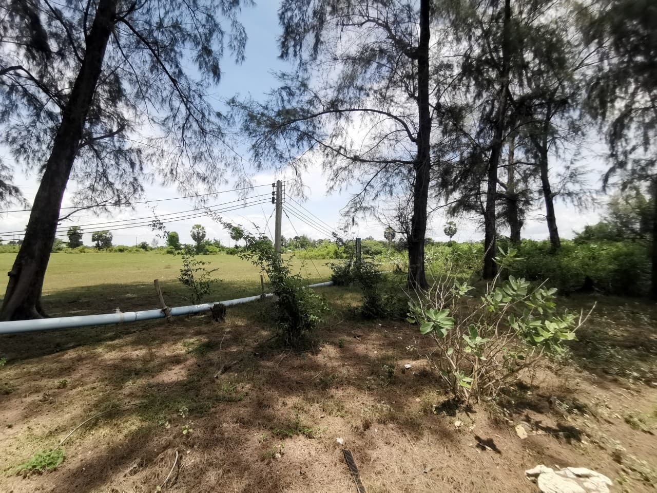 ประกาศฟรี! ซื้อ-ขาย-เช่า คอนโด บ้าน ทาวน์โฮม ที่ดิน และพื้นที่เชิงพาณิชย์ทั่วประเทศไทย ทุกทำเล ทุกงบประมาณ ไม่มีค่าใช้จ่าย ลงง่าย ขายไว เข้าถึงผู้ซื้อโดยตรง 4 256707pic3.jpg