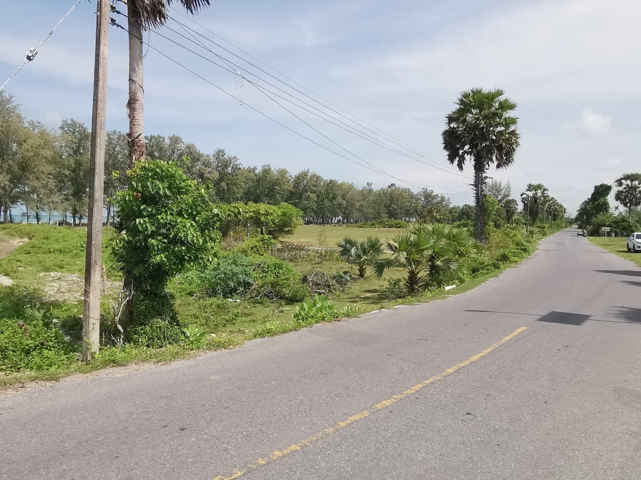 ประกาศฟรี! ซื้อ-ขาย-เช่า คอนโด บ้าน ทาวน์โฮม ที่ดิน และพื้นที่เชิงพาณิชย์ทั่วประเทศไทย ทุกทำเล ทุกงบประมาณ ไม่มีค่าใช้จ่าย ลงง่าย ขายไว เข้าถึงผู้ซื้อโดยตรง 5 256707pic4.jpg