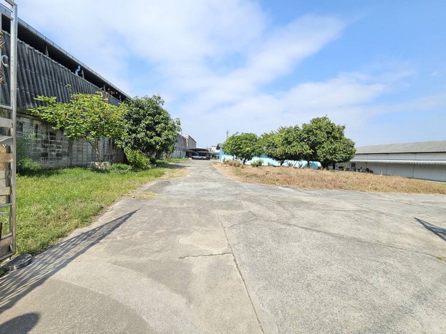 ประกาศฟรี! ซื้อ-ขาย-เช่า คอนโด บ้าน ทาวน์โฮม ที่ดิน และพื้นที่เชิงพาณิชย์ทั่วประเทศไทย ทุกทำเล ทุกงบประมาณ ไม่มีค่าใช้จ่าย ลงง่าย ขายไว เข้าถึงผู้ซื้อโดยตรง 5 316833pic4.jpg