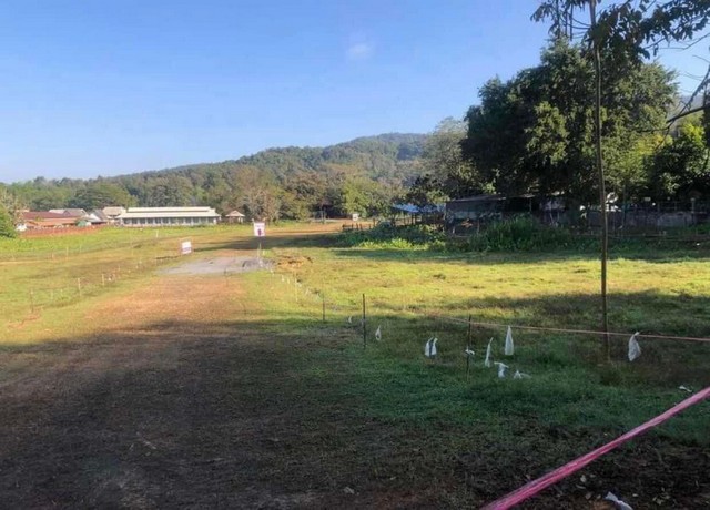 ประกาศฟรี! ซื้อ-ขาย-เช่า คอนโด บ้าน ทาวน์โฮม ที่ดิน และพื้นที่เชิงพาณิชย์ทั่วประเทศไทย ทุกทำเล ทุกงบประมาณ ไม่มีค่าใช้จ่าย ลงง่าย ขายไว เข้าถึงผู้ซื้อโดยตรง 3 256911pic2.jpg