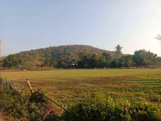 ประกาศฟรี! ซื้อ-ขาย-เช่า คอนโด บ้าน ทาวน์โฮม ที่ดิน และพื้นที่เชิงพาณิชย์ทั่วประเทศไทย ทุกทำเล ทุกงบประมาณ ไม่มีค่าใช้จ่าย ลงง่าย ขายไว เข้าถึงผู้ซื้อโดยตรง 5 256911pic4.jpg