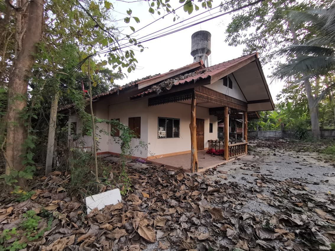 ประกาศฟรี! ซื้อ-ขาย-เช่า คอนโด บ้าน ทาวน์โฮม ที่ดิน และพื้นที่เชิงพาณิชย์ทั่วประเทศไทย ทุกทำเล ทุกงบประมาณ ไม่มีค่าใช้จ่าย ลงง่าย ขายไว เข้าถึงผู้ซื้อโดยตรง 3 256760pic2.jpg