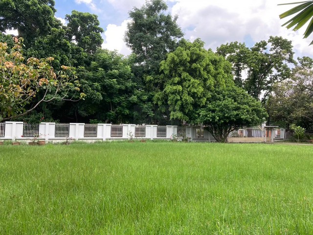 ประกาศฟรี! ซื้อ-ขาย-เช่า คอนโด บ้าน ทาวน์โฮม ที่ดิน และพื้นที่เชิงพาณิชย์ทั่วประเทศไทย ทุกทำเล ทุกงบประมาณ ไม่มีค่าใช้จ่าย ลงง่าย ขายไว เข้าถึงผู้ซื้อโดยตรง 3 512839pic2.jpg