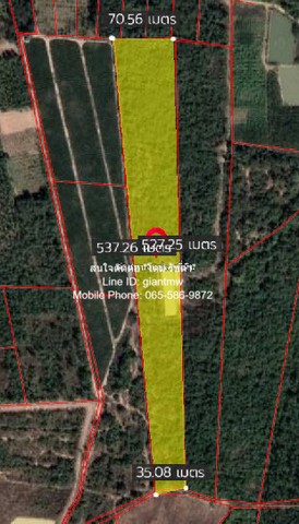 ประกาศฟรี! ซื้อ-ขาย-เช่า คอนโด บ้าน ทาวน์โฮม ที่ดิน และพื้นที่เชิงพาณิชย์ทั่วประเทศไทย ทุกทำเล ทุกงบประมาณ ไม่มีค่าใช้จ่าย ลงง่าย ขายไว เข้าถึงผู้ซื้อโดยตรง 2 15963pic1.jpg