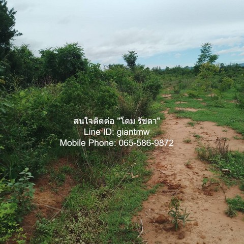 ประกาศฟรี! ซื้อ-ขาย-เช่า คอนโด บ้าน ทาวน์โฮม ที่ดิน และพื้นที่เชิงพาณิชย์ทั่วประเทศไทย ทุกทำเล ทุกงบประมาณ ไม่มีค่าใช้จ่าย ลงง่าย ขายไว เข้าถึงผู้ซื้อโดยตรง 3 15963pic2.jpg