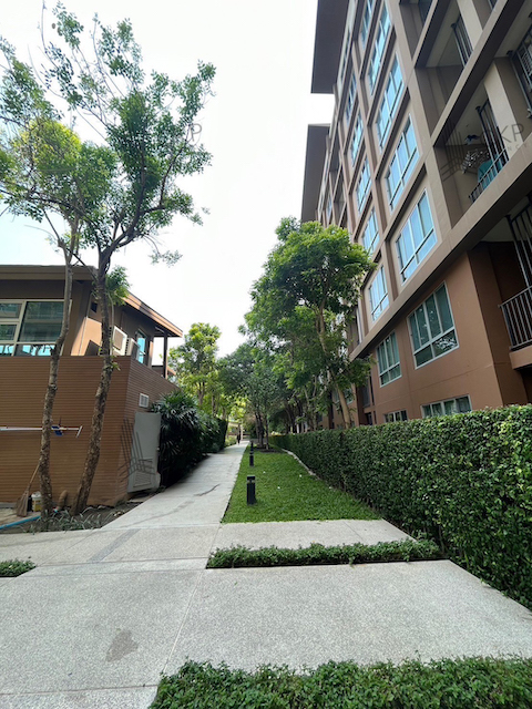 ประกาศฟรี! ซื้อ-ขาย-เช่า คอนโด บ้าน ทาวน์โฮม ที่ดิน และพื้นที่เชิงพาณิชย์ทั่วประเทศไทย ทุกทำเล ทุกงบประมาณ ไม่มีค่าใช้จ่าย ลงง่าย ขายไว เข้าถึงผู้ซื้อโดยตรง 4 286014pic3.jpg