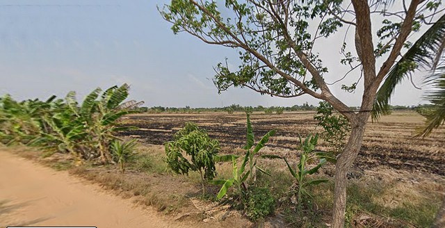 ประกาศฟรี! ซื้อ-ขาย-เช่า คอนโด บ้าน ทาวน์โฮม ที่ดิน และพื้นที่เชิงพาณิชย์ทั่วประเทศไทย ทุกทำเล ทุกงบประมาณ ไม่มีค่าใช้จ่าย ลงง่าย ขายไว เข้าถึงผู้ซื้อโดยตรง 5 316120pic4.jpg