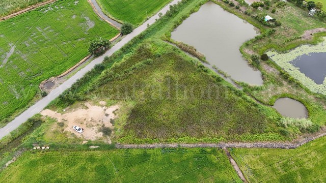 ประกาศฟรี! ซื้อ-ขาย-เช่า คอนโด บ้าน ทาวน์โฮม ที่ดิน และพื้นที่เชิงพาณิชย์ทั่วประเทศไทย ทุกทำเล ทุกงบประมาณ ไม่มีค่าใช้จ่าย ลงง่าย ขายไว เข้าถึงผู้ซื้อโดยตรง 3 290996pic2.jpg