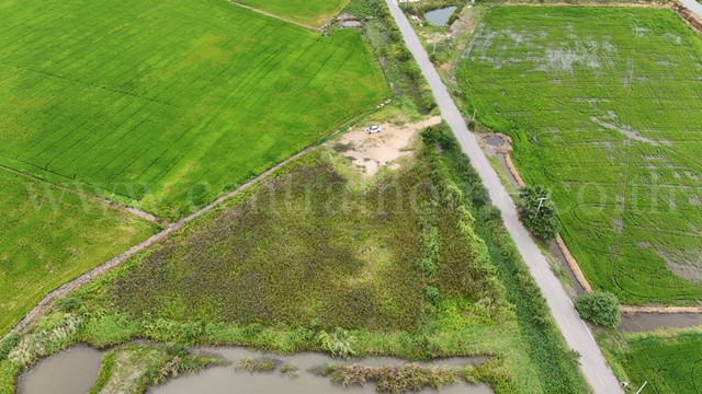 ประกาศฟรี! ซื้อ-ขาย-เช่า คอนโด บ้าน ทาวน์โฮม ที่ดิน และพื้นที่เชิงพาณิชย์ทั่วประเทศไทย ทุกทำเล ทุกงบประมาณ ไม่มีค่าใช้จ่าย ลงง่าย ขายไว เข้าถึงผู้ซื้อโดยตรง 4 290996pic3.jpg