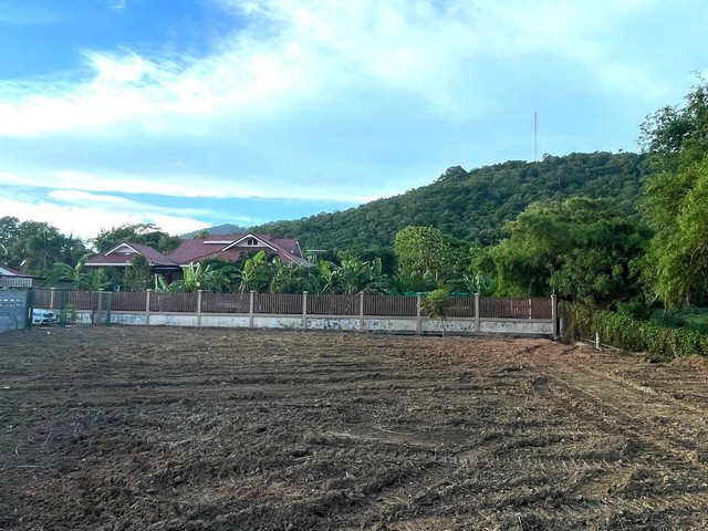 ประกาศฟรี! ซื้อ-ขาย-เช่า คอนโด บ้าน ทาวน์โฮม ที่ดิน และพื้นที่เชิงพาณิชย์ทั่วประเทศไทย ทุกทำเล ทุกงบประมาณ ไม่มีค่าใช้จ่าย ลงง่าย ขายไว เข้าถึงผู้ซื้อโดยตรง 2 316879pic1.jpg