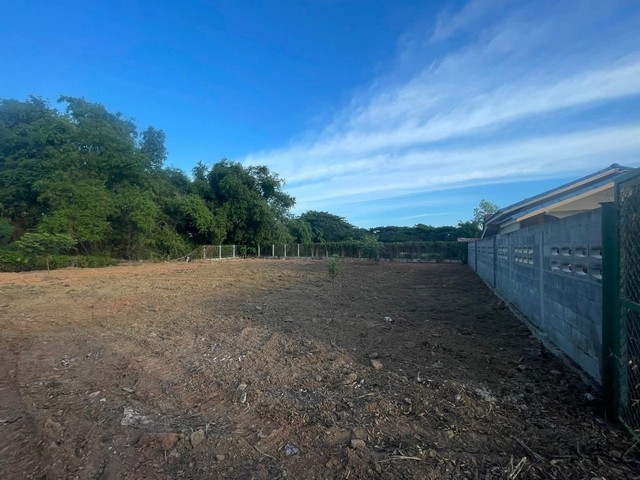 ประกาศฟรี! ซื้อ-ขาย-เช่า คอนโด บ้าน ทาวน์โฮม ที่ดิน และพื้นที่เชิงพาณิชย์ทั่วประเทศไทย ทุกทำเล ทุกงบประมาณ ไม่มีค่าใช้จ่าย ลงง่าย ขายไว เข้าถึงผู้ซื้อโดยตรง 3 316879pic2.jpg