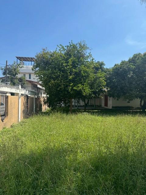 ประกาศฟรี! ซื้อ-ขาย-เช่า คอนโด บ้าน ทาวน์โฮม ที่ดิน และพื้นที่เชิงพาณิชย์ทั่วประเทศไทย ทุกทำเล ทุกงบประมาณ ไม่มีค่าใช้จ่าย ลงง่าย ขายไว เข้าถึงผู้ซื้อโดยตรง 4 516897pic3.jpg