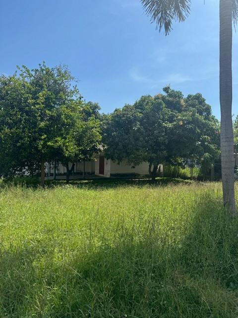 ประกาศฟรี! ซื้อ-ขาย-เช่า คอนโด บ้าน ทาวน์โฮม ที่ดิน และพื้นที่เชิงพาณิชย์ทั่วประเทศไทย ทุกทำเล ทุกงบประมาณ ไม่มีค่าใช้จ่าย ลงง่าย ขายไว เข้าถึงผู้ซื้อโดยตรง 5 516897pic4.jpg