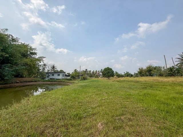 ประกาศฟรี! ซื้อ-ขาย-เช่า คอนโด บ้าน ทาวน์โฮม ที่ดิน และพื้นที่เชิงพาณิชย์ทั่วประเทศไทย ทุกทำเล ทุกงบประมาณ ไม่มีค่าใช้จ่าย ลงง่าย ขายไว เข้าถึงผู้ซื้อโดยตรง 2 316617pic1.jpg