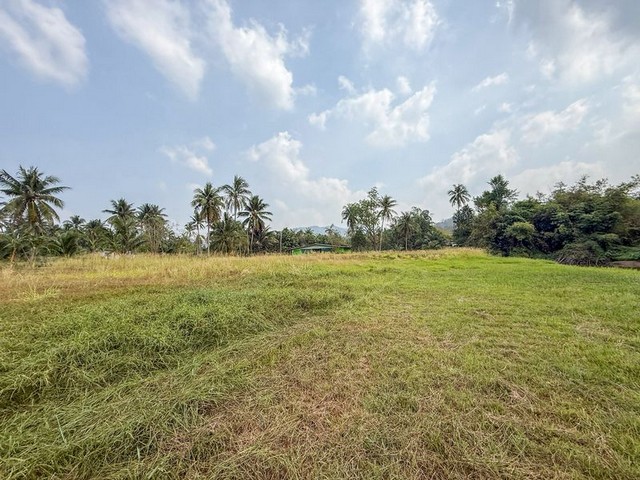 ประกาศฟรี! ซื้อ-ขาย-เช่า คอนโด บ้าน ทาวน์โฮม ที่ดิน และพื้นที่เชิงพาณิชย์ทั่วประเทศไทย ทุกทำเล ทุกงบประมาณ ไม่มีค่าใช้จ่าย ลงง่าย ขายไว เข้าถึงผู้ซื้อโดยตรง 3 316617pic2.jpg