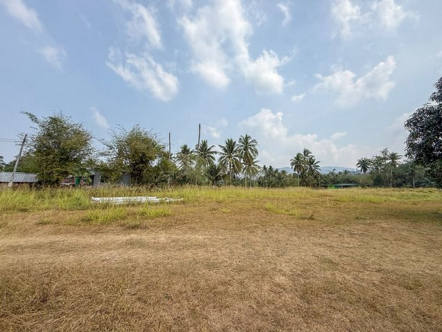 ประกาศฟรี! ซื้อ-ขาย-เช่า คอนโด บ้าน ทาวน์โฮม ที่ดิน และพื้นที่เชิงพาณิชย์ทั่วประเทศไทย ทุกทำเล ทุกงบประมาณ ไม่มีค่าใช้จ่าย ลงง่าย ขายไว เข้าถึงผู้ซื้อโดยตรง 4 316617pic3.jpg