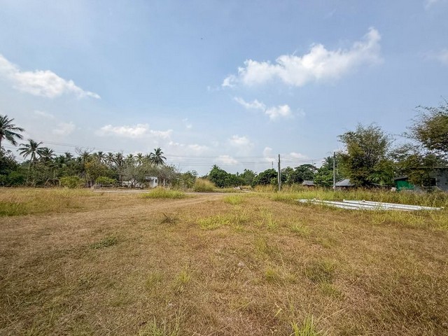 ประกาศฟรี! ซื้อ-ขาย-เช่า คอนโด บ้าน ทาวน์โฮม ที่ดิน และพื้นที่เชิงพาณิชย์ทั่วประเทศไทย ทุกทำเล ทุกงบประมาณ ไม่มีค่าใช้จ่าย ลงง่าย ขายไว เข้าถึงผู้ซื้อโดยตรง 5 316617pic4.jpg