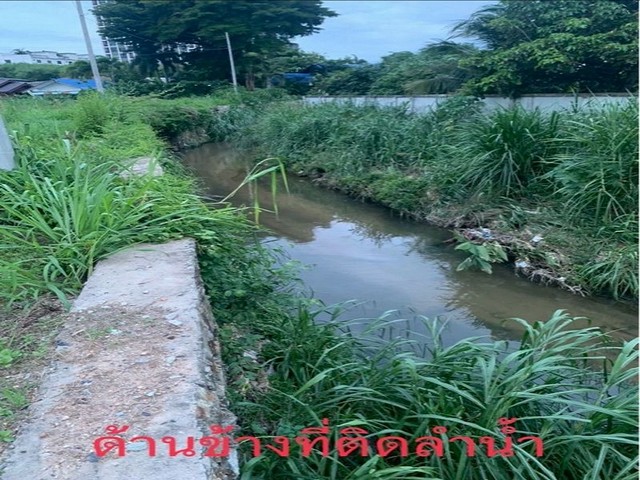 ประกาศฟรี! ซื้อ-ขาย-เช่า คอนโด บ้าน ทาวน์โฮม ที่ดิน และพื้นที่เชิงพาณิชย์ทั่วประเทศไทย ทุกทำเล ทุกงบประมาณ ไม่มีค่าใช้จ่าย ลงง่าย ขายไว เข้าถึงผู้ซื้อโดยตรง 4 316446pic3.jpg