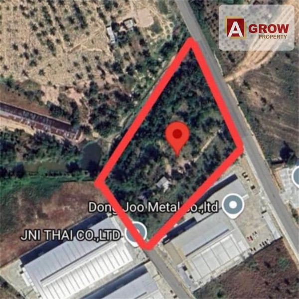 ประกาศฟรี! ซื้อ-ขาย-เช่า คอนโด บ้าน ทาวน์โฮม ที่ดิน และพื้นที่เชิงพาณิชย์ทั่วประเทศไทย ทุกทำเล ทุกงบประมาณ ไม่มีค่าใช้จ่าย ลงง่าย ขายไว เข้าถึงผู้ซื้อโดยตรง 2 316857pic1.jpg