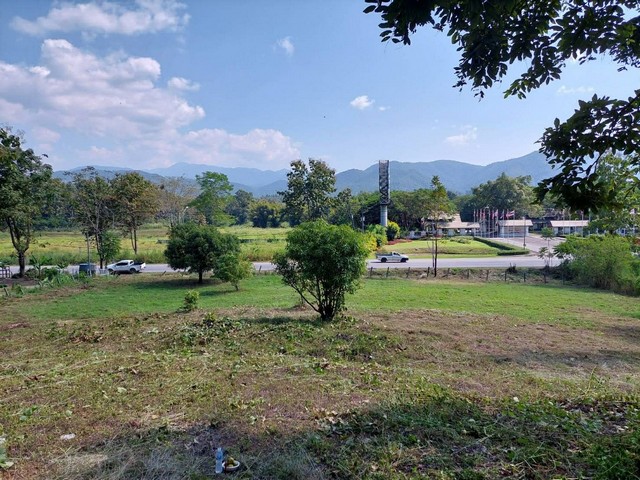 ประกาศฟรี! ซื้อ-ขาย-เช่า คอนโด บ้าน ทาวน์โฮม ที่ดิน และพื้นที่เชิงพาณิชย์ทั่วประเทศไทย ทุกทำเล ทุกงบประมาณ ไม่มีค่าใช้จ่าย ลงง่าย ขายไว เข้าถึงผู้ซื้อโดยตรง 2 257053pic1.jpg