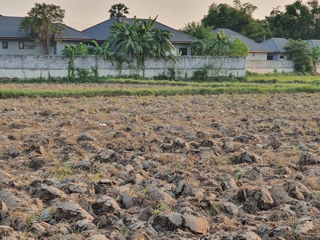 ประกาศฟรี! ซื้อ-ขาย-เช่า คอนโด บ้าน ทาวน์โฮม ที่ดิน และพื้นที่เชิงพาณิชย์ทั่วประเทศไทย ทุกทำเล ทุกงบประมาณ ไม่มีค่าใช้จ่าย ลงง่าย ขายไว เข้าถึงผู้ซื้อโดยตรง 2 316970pic1.jpg