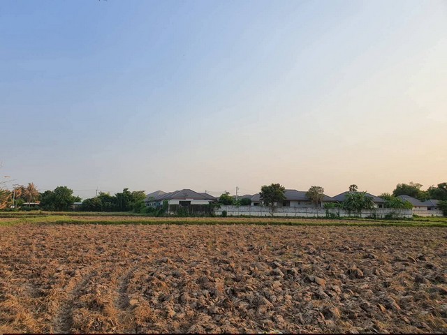 ประกาศฟรี! ซื้อ-ขาย-เช่า คอนโด บ้าน ทาวน์โฮม ที่ดิน และพื้นที่เชิงพาณิชย์ทั่วประเทศไทย ทุกทำเล ทุกงบประมาณ ไม่มีค่าใช้จ่าย ลงง่าย ขายไว เข้าถึงผู้ซื้อโดยตรง 5 316970pic4.jpg