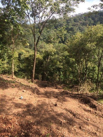 ประกาศฟรี! ซื้อ-ขาย-เช่า คอนโด บ้าน ทาวน์โฮม ที่ดิน และพื้นที่เชิงพาณิชย์ทั่วประเทศไทย ทุกทำเล ทุกงบประมาณ ไม่มีค่าใช้จ่าย ลงง่าย ขายไว เข้าถึงผู้ซื้อโดยตรง 4 316969pic3.jpg