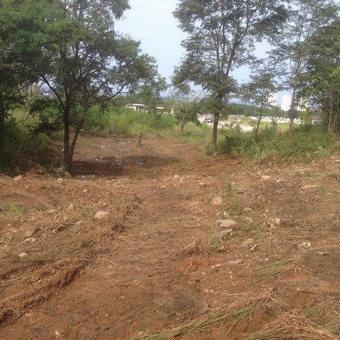 ประกาศฟรี! ซื้อ-ขาย-เช่า คอนโด บ้าน ทาวน์โฮม ที่ดิน และพื้นที่เชิงพาณิชย์ทั่วประเทศไทย ทุกทำเล ทุกงบประมาณ ไม่มีค่าใช้จ่าย ลงง่าย ขายไว เข้าถึงผู้ซื้อโดยตรง 5 316969pic4.jpg