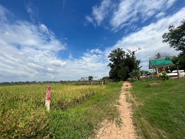 ประกาศฟรี! ซื้อ-ขาย-เช่า คอนโด บ้าน ทาวน์โฮม ที่ดิน และพื้นที่เชิงพาณิชย์ทั่วประเทศไทย ทุกทำเล ทุกงบประมาณ ไม่มีค่าใช้จ่าย ลงง่าย ขายไว เข้าถึงผู้ซื้อโดยตรง 5 517936pic4.jpg