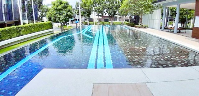 ประกาศฟรี! ซื้อ-ขาย-เช่า คอนโด บ้าน ทาวน์โฮม ที่ดิน และพื้นที่เชิงพาณิชย์ทั่วประเทศไทย ทุกทำเล ทุกงบประมาณ ไม่มีค่าใช้จ่าย ลงง่าย ขายไว เข้าถึงผู้ซื้อโดยตรง 5 257035pic4.jpg