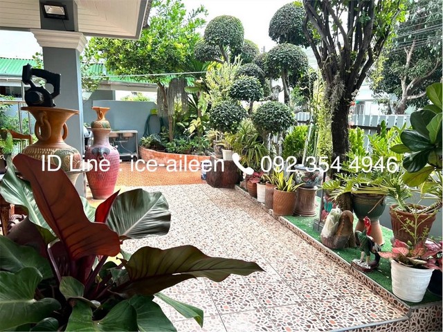 ประกาศฟรี! ซื้อ-ขาย-เช่า คอนโด บ้าน ทาวน์โฮม ที่ดิน และพื้นที่เชิงพาณิชย์ทั่วประเทศไทย ทุกทำเล ทุกงบประมาณ ไม่มีค่าใช้จ่าย ลงง่าย ขายไว เข้าถึงผู้ซื้อโดยตรง 4 257087pic3.jpg